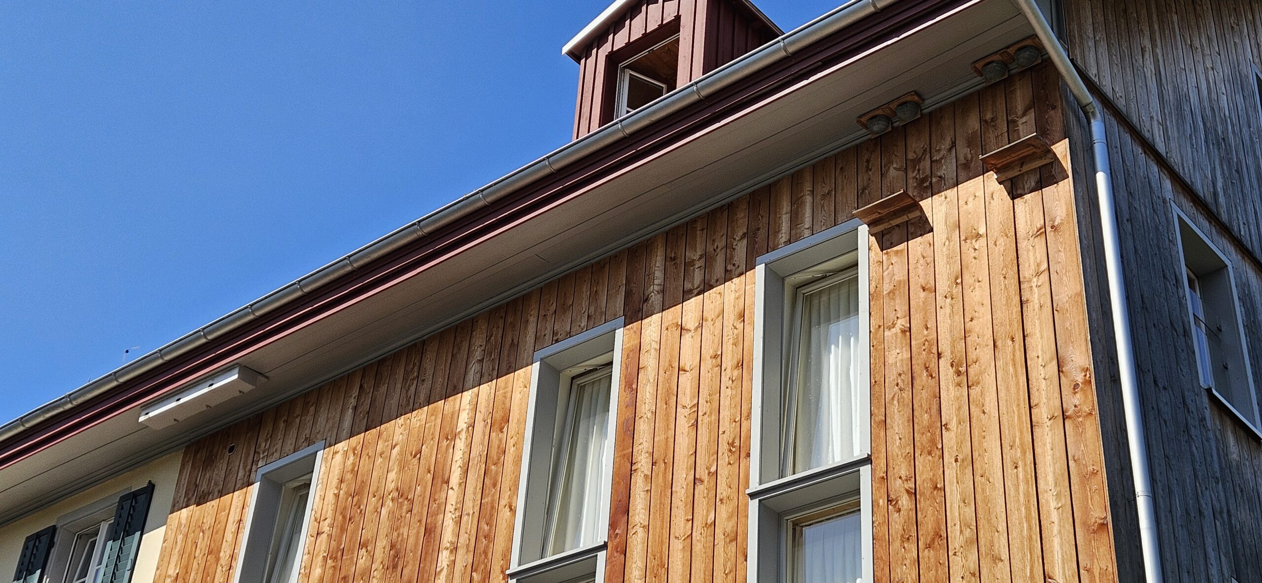 Nistkästen für Mauersegler